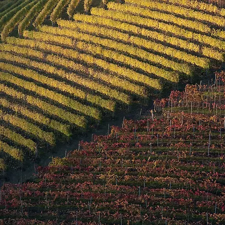 Angolo Divino 3* 알바