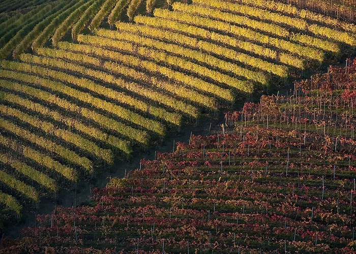 Angolo Divino 3* Alba (Piedmont)